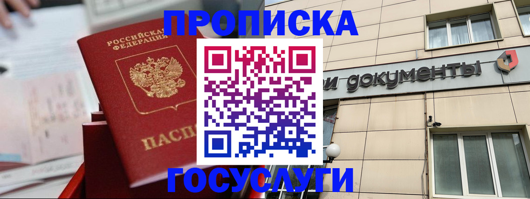 прописка в Курчалом